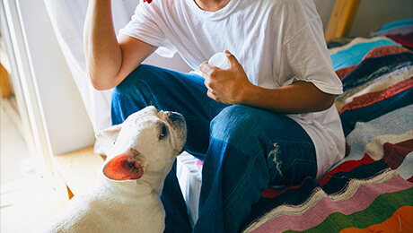 パワフルなフレンチブルドッグとの暮らし。ペットのにおいの対処法は？