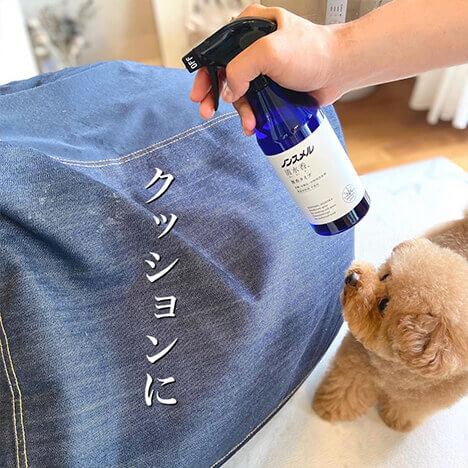 トイプードルしらす先輩