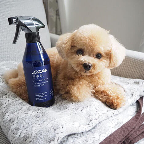 くるみたん (Kurumi)