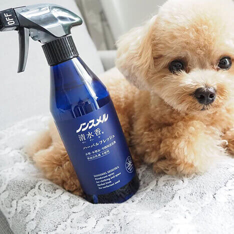 くるみたん (Kurumi)